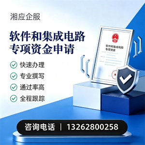 常德软件和集成电路专项资金申报服务
