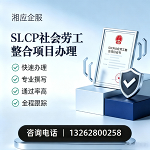 常德SLCP社会劳工整合项目申报服务