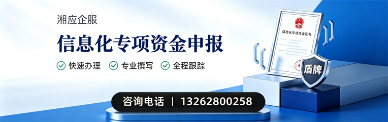 常德信息化专项资金申报服务
