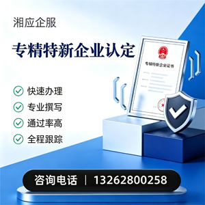 常德专精特新企业申报服务