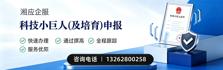 常德科技小巨人及培育企业申报服务