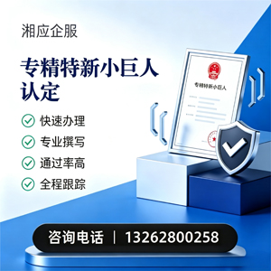 常德专精特新小巨人申报服务