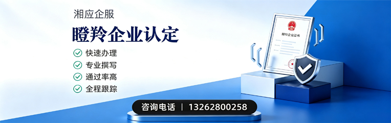 常德瞪羚企业认定申报服务