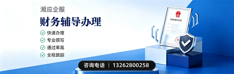 常德财务辅导申请服务