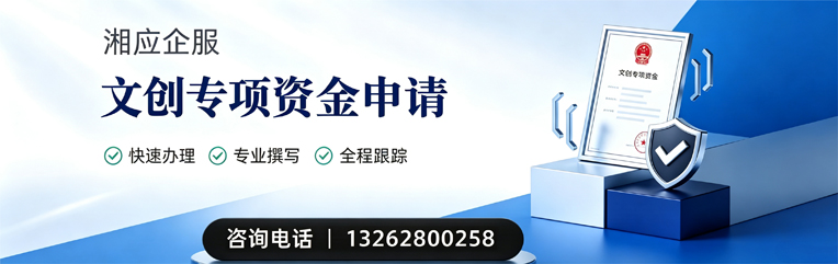 常德文创专项资金申报服务