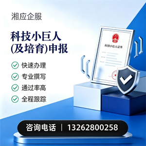 常德科技小巨人及培育企业申报服务