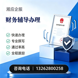 常德财务辅导申请服务