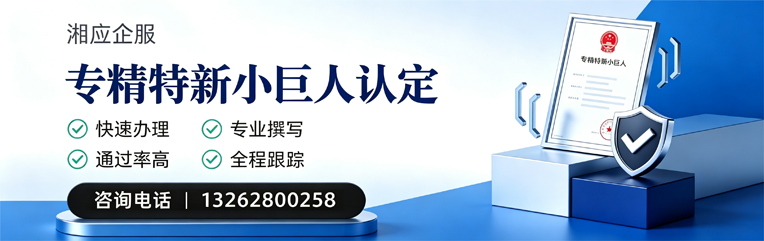 常德专精特新小巨人申报服务